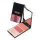 Indice Tokyo - Trio de Blushes Cravina - Michelly Palma 1